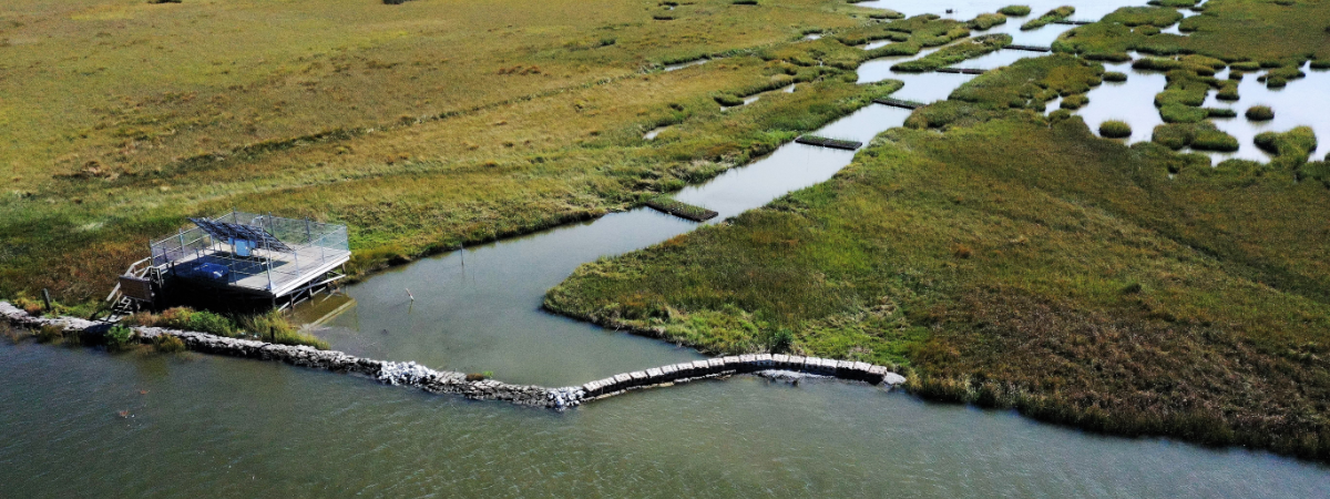 Danos Completes Nature-Based Coastal Restoration Projects for Shell Pipeline Company